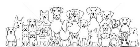 Carl Kruse Blog - Image of dogs